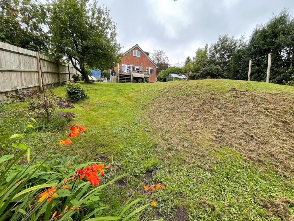 Back Garden