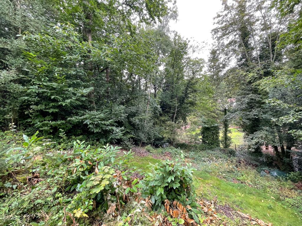 Back Garden