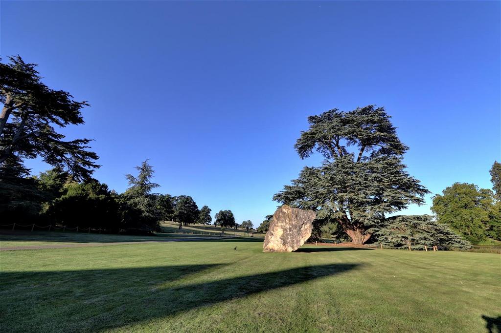 Grounds