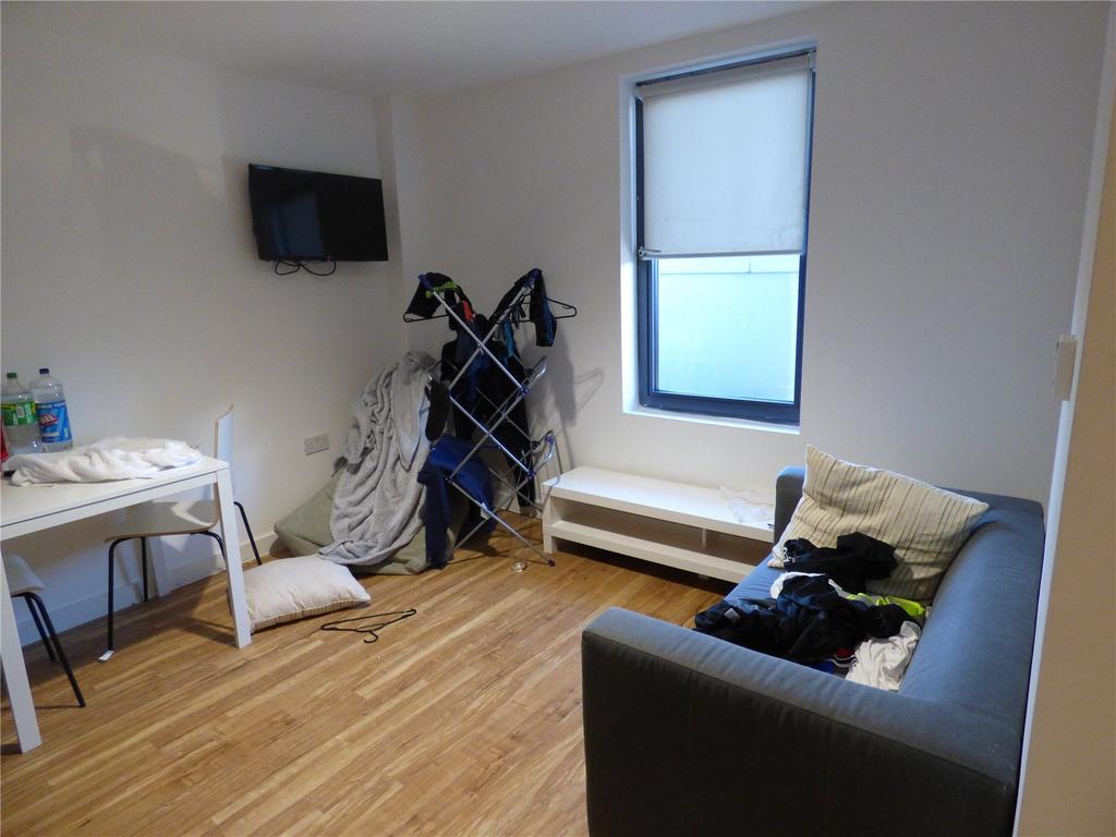 Living/ Kitchen Area