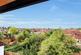 Treetop view from the master bedroom