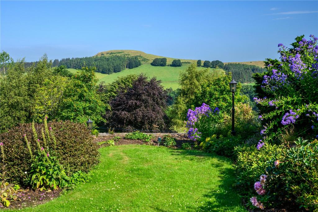 Garden With View