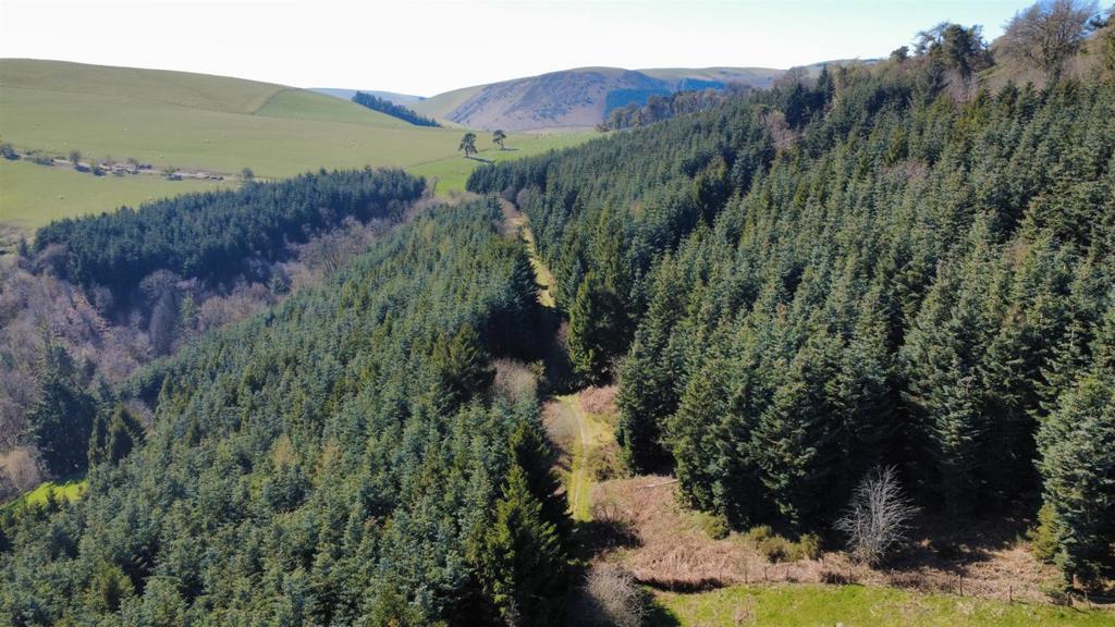 Woodland For Sale