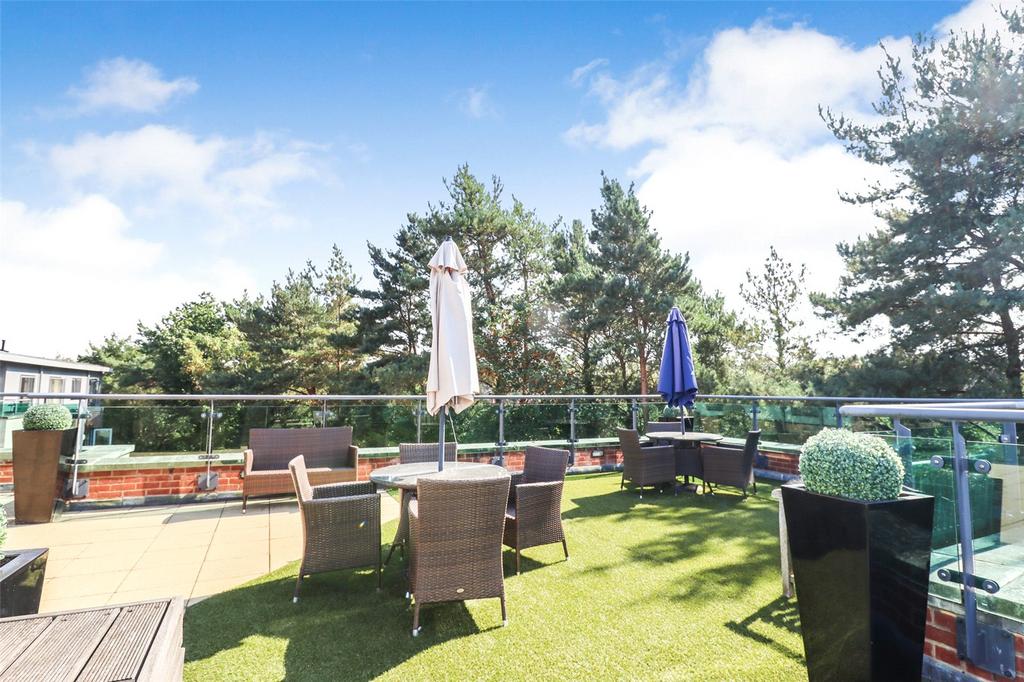 Roof Terrace