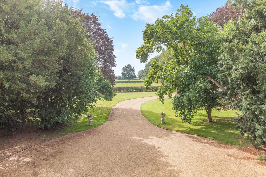 Driveway
