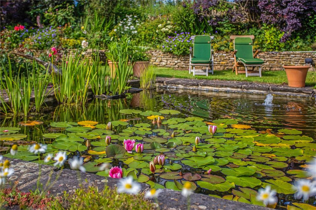 Pond