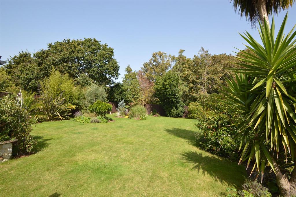 Dsc 0264.jpg