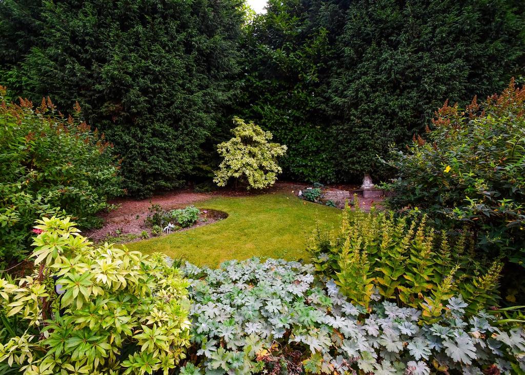 10 Waverley Crescent - Garden.jpg