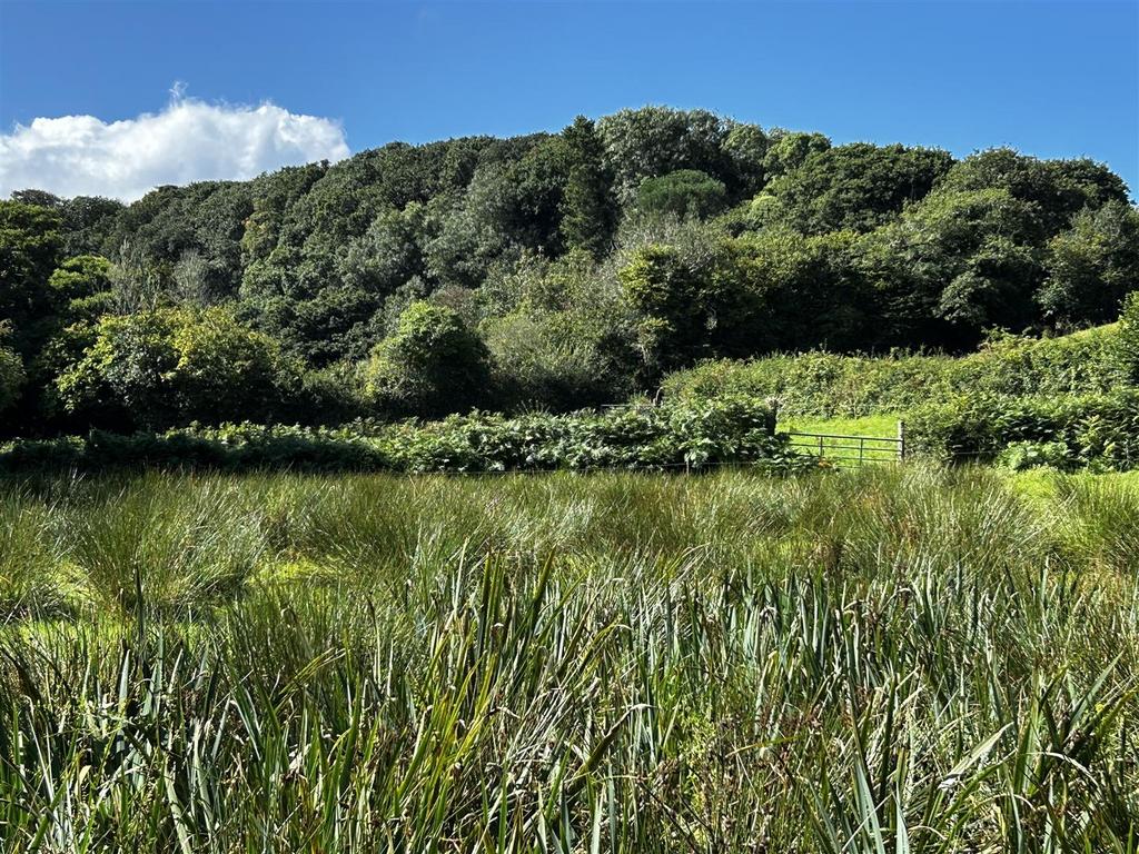 Lower meadow