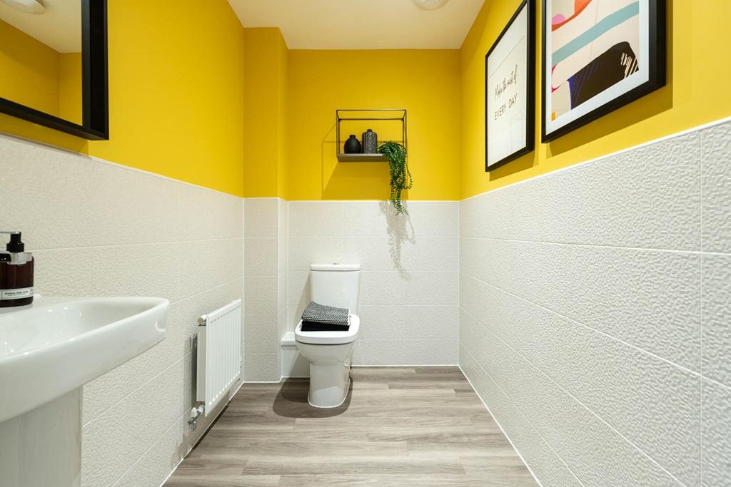 Handy downstairs toilet