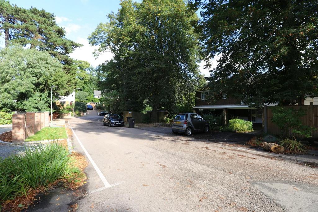 Road.JPG
