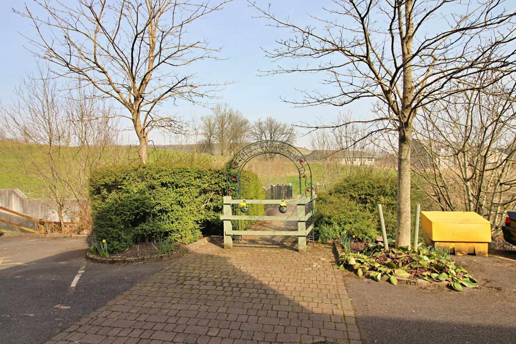 Bridge over Brook