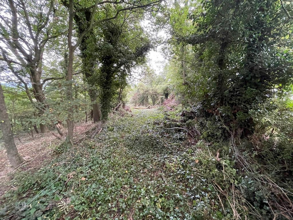 Hilliers Lane, Yarley, Wells, BA5 Farm land £10,000