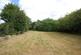 Rear Garden 2