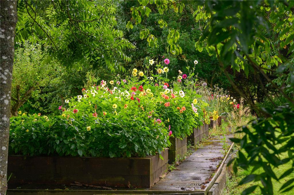 Raised Beds