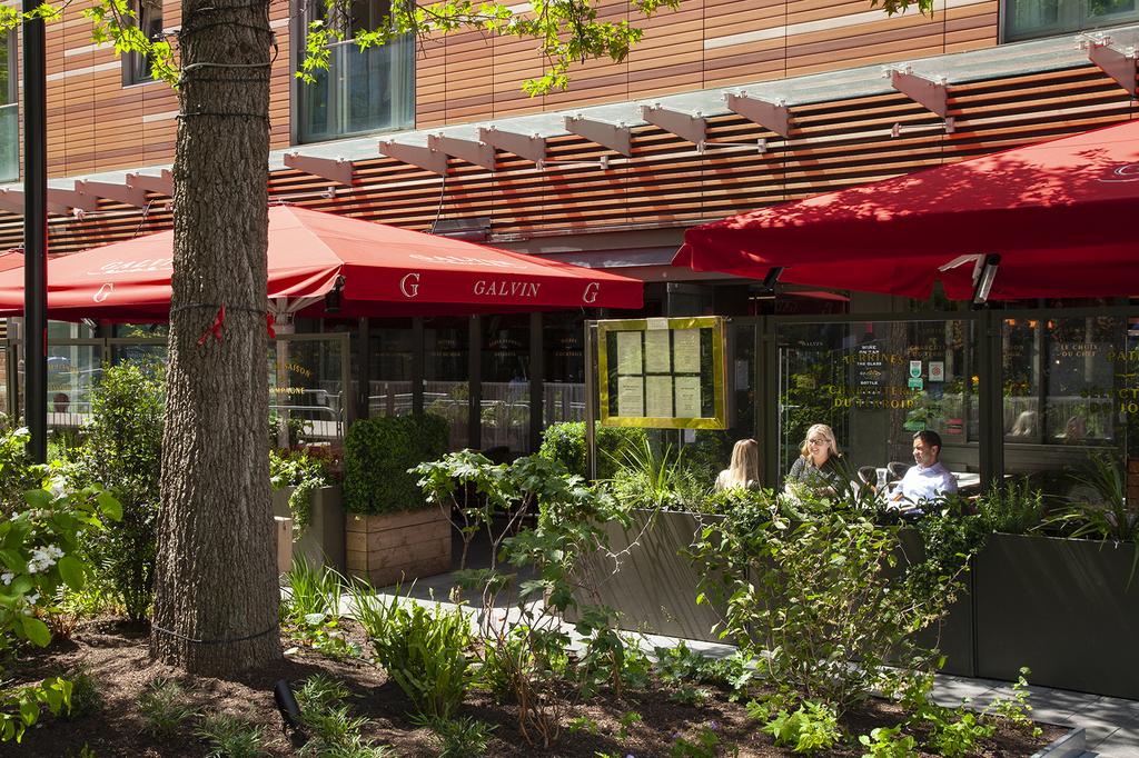 Img 9351