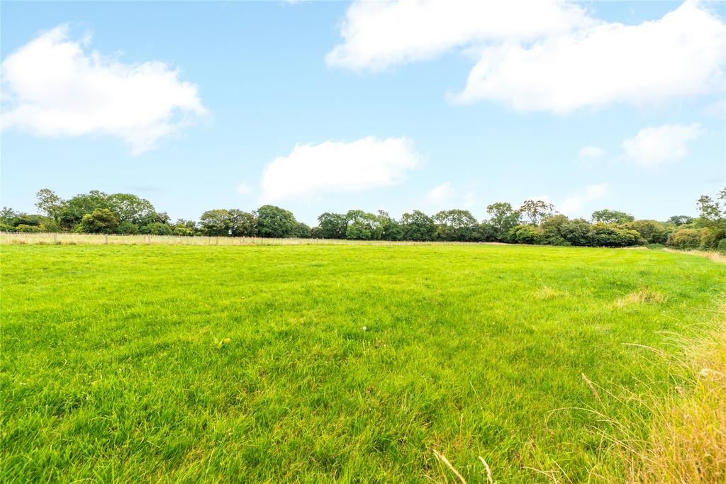 Grounds