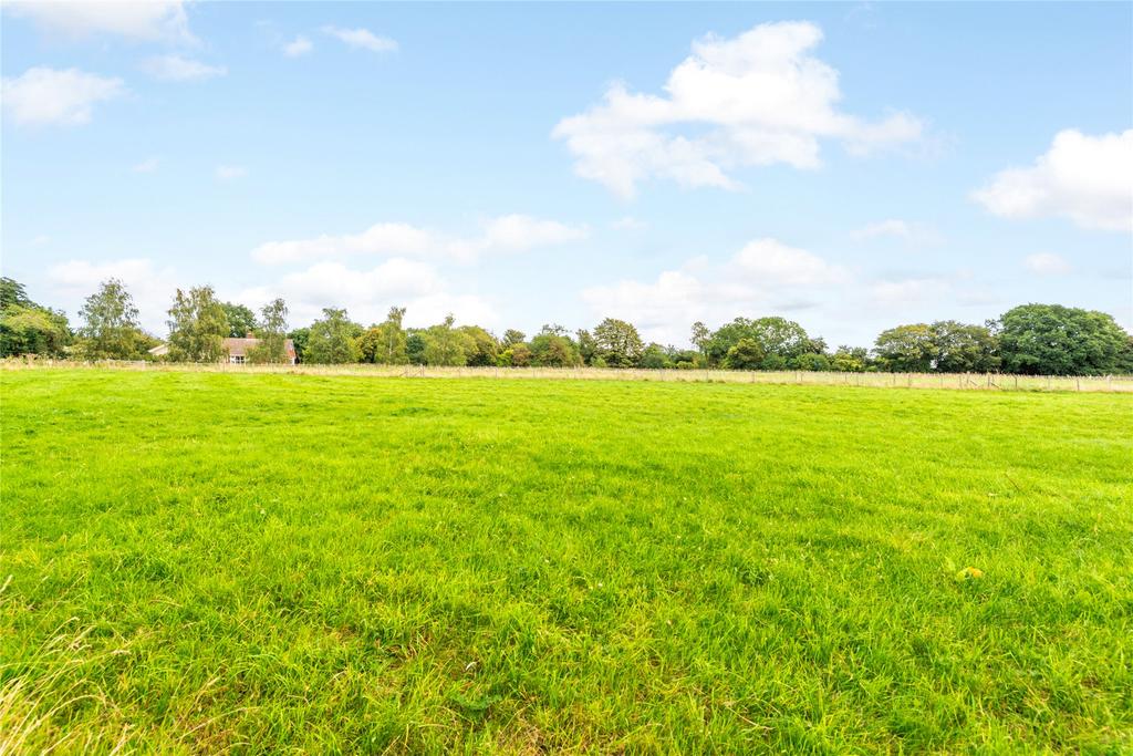 Grounds