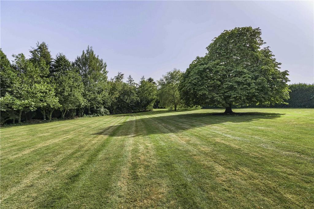 Grounds