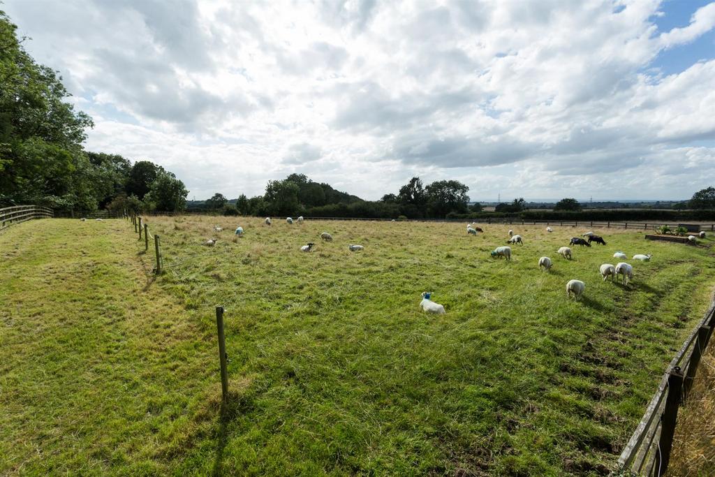 Field/Paddock
