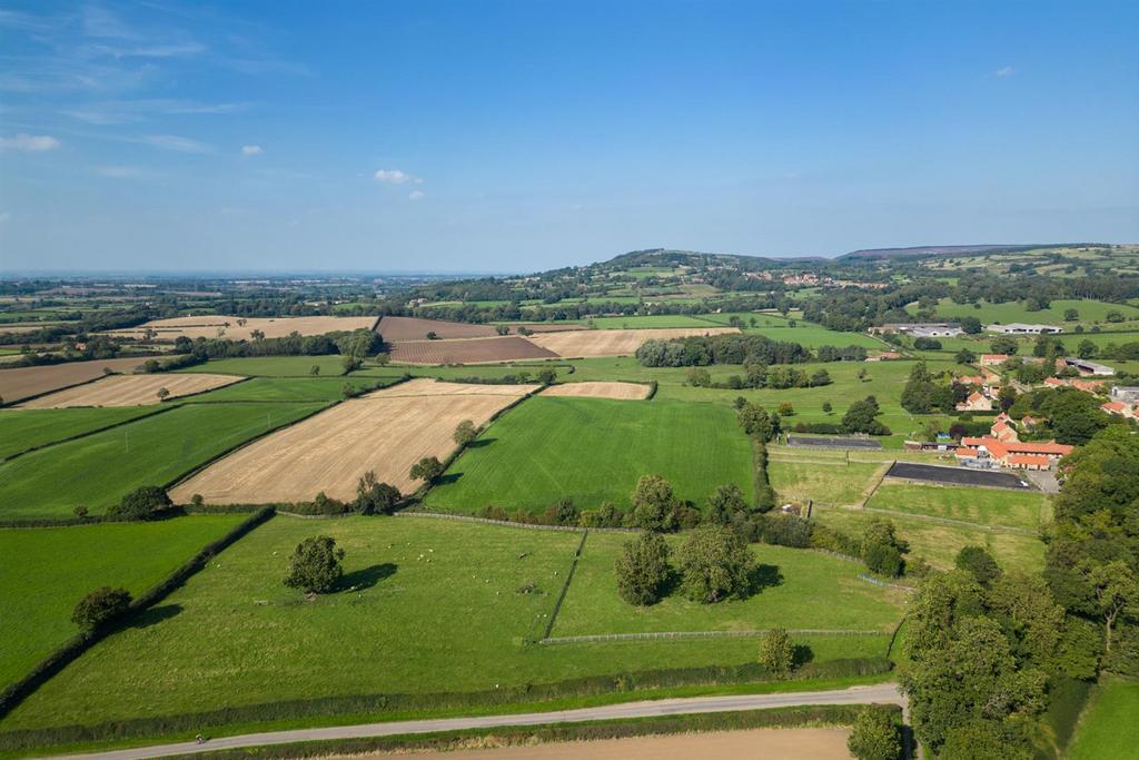 Fields
