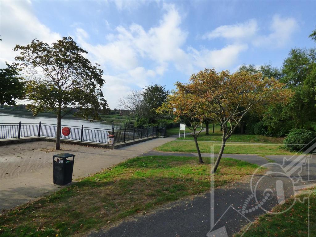 River and park