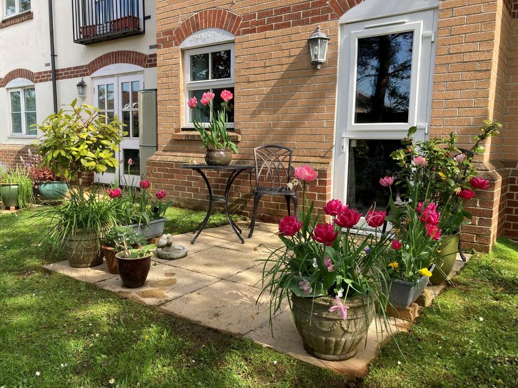 Rear garden.jpg