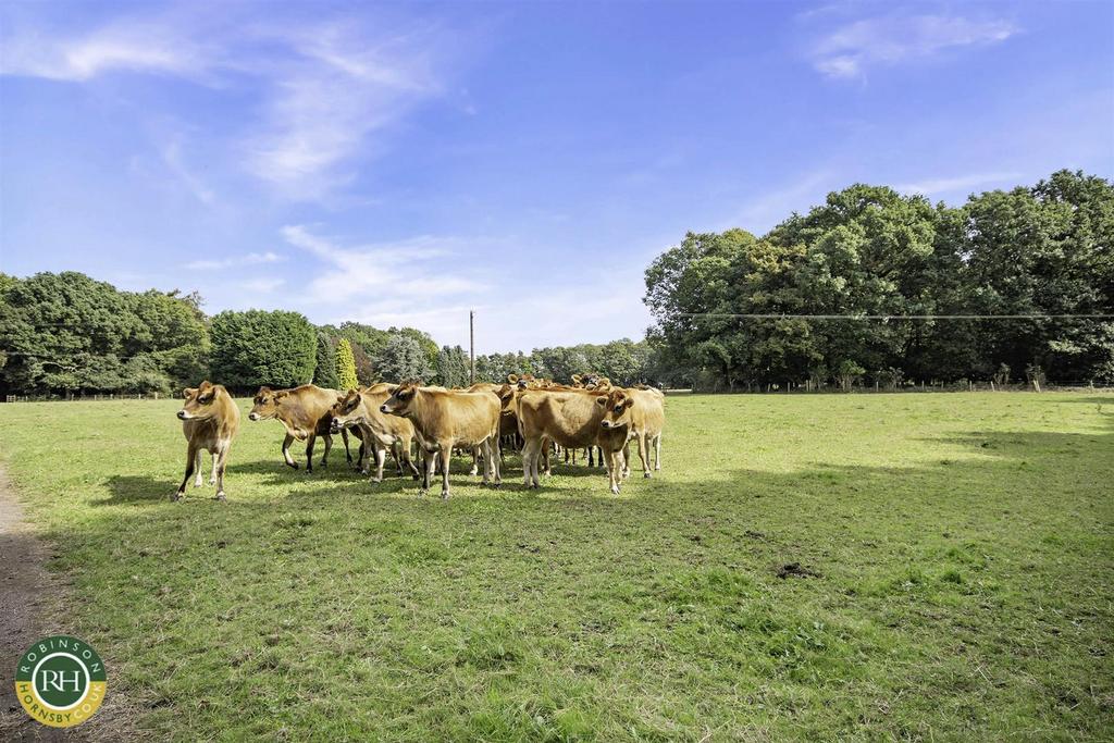 Countryside setting