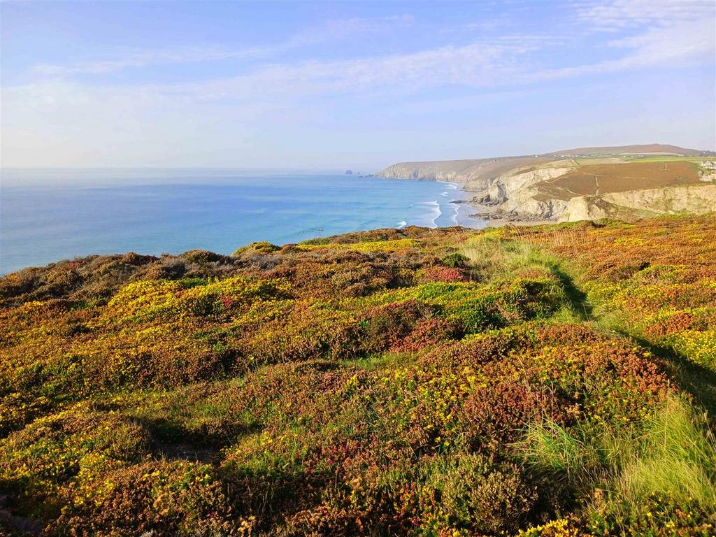 Jolly's Lane, Porthtowan, Truro Land for sale £20,000