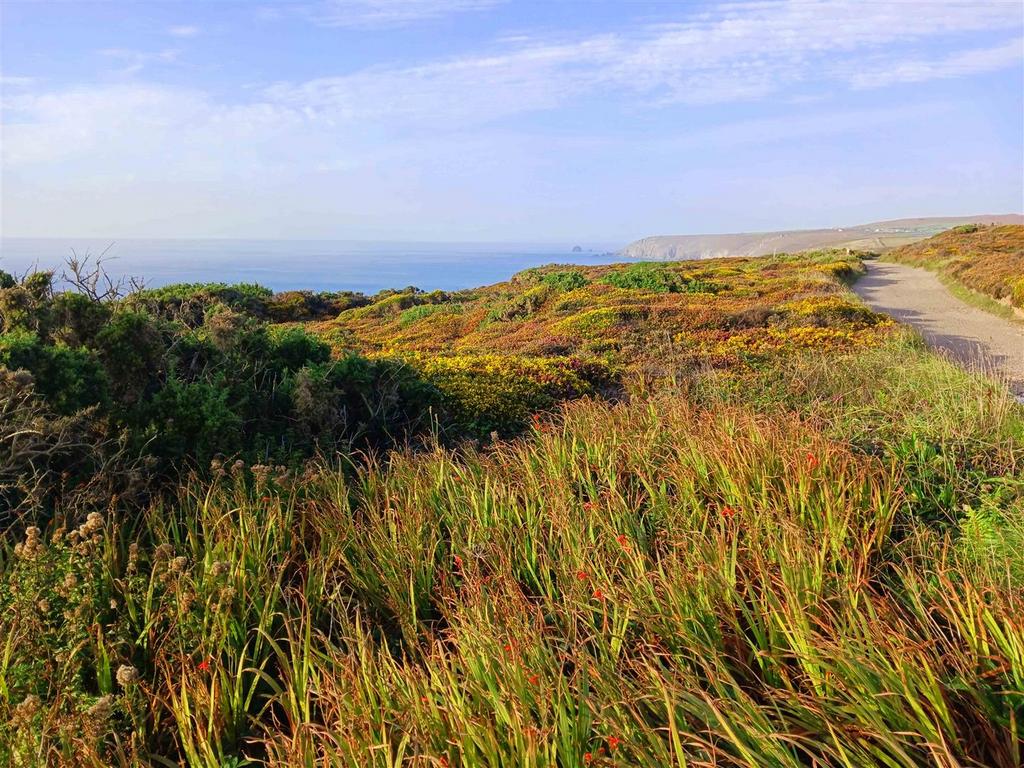 Jolly's Lane, Porthtowan, Truro Land for sale £20,000