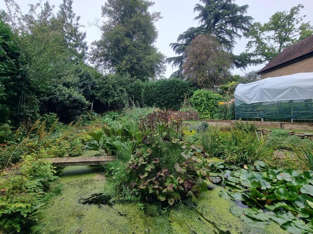 Pond