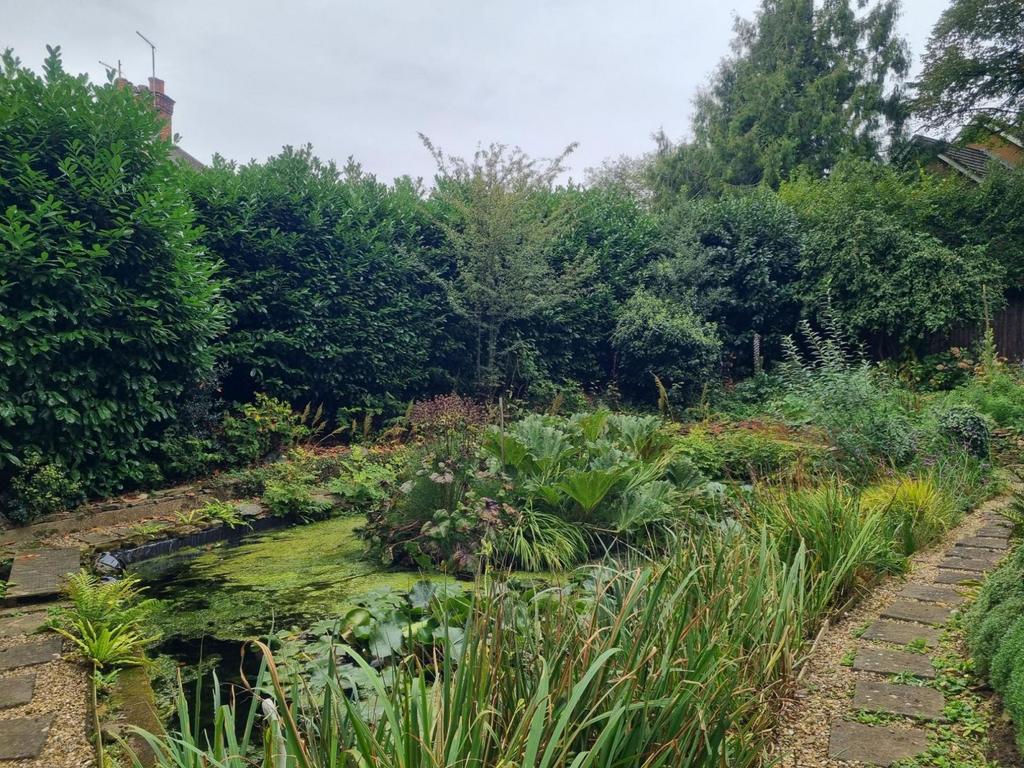 Pond