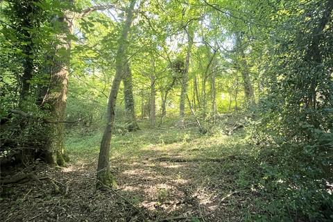 Land for sale - Land At Crowhurst, Crowhurst Road, TN38