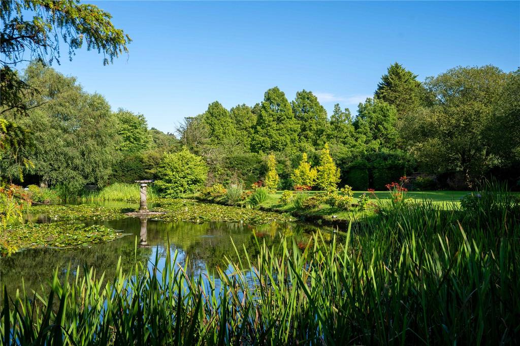 Pond