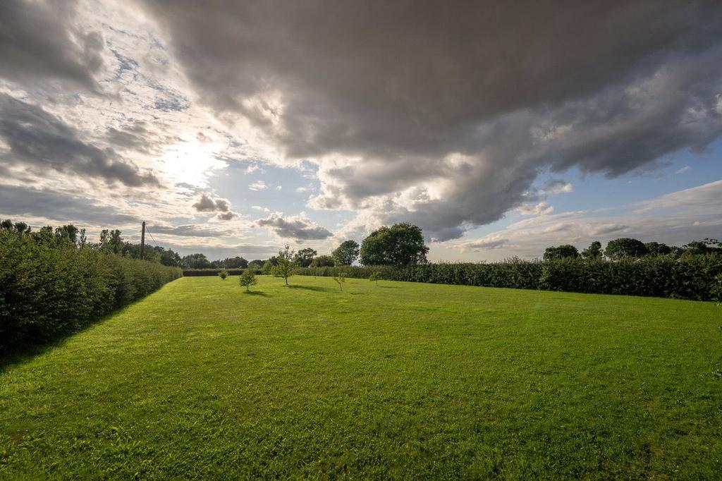 Meadow