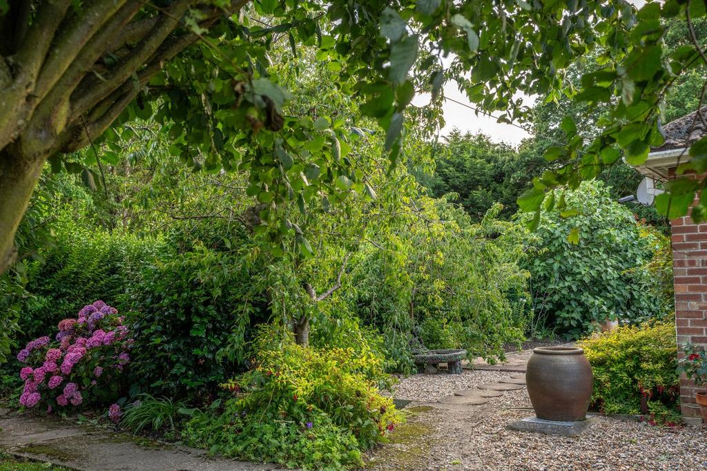 Side Garden
