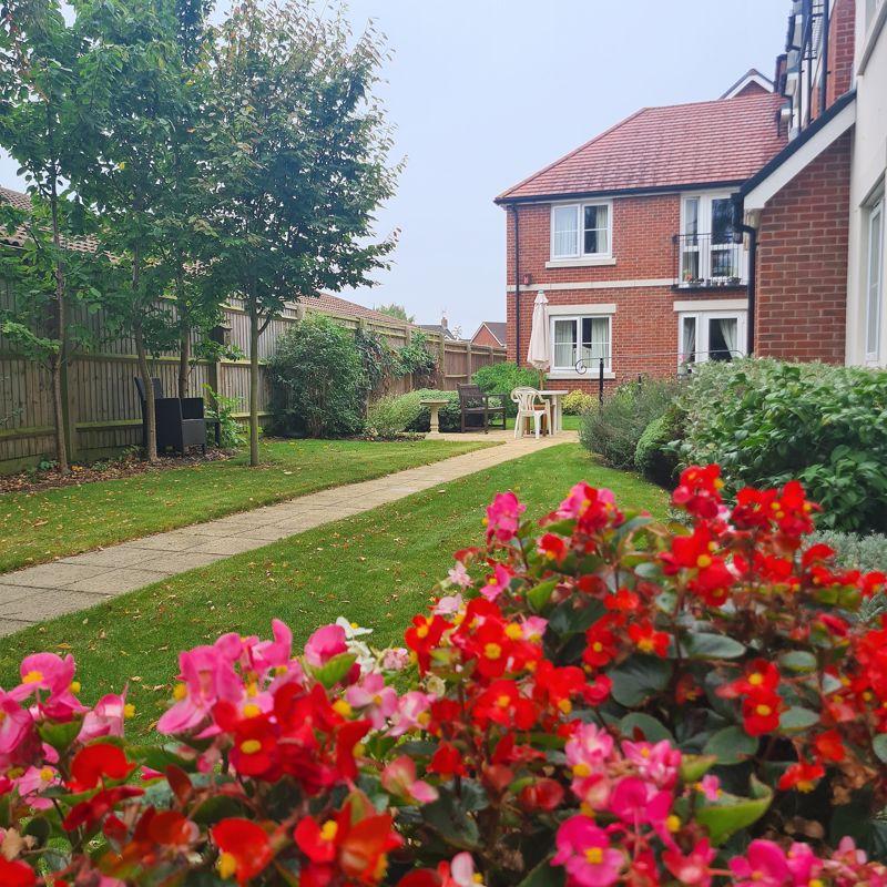 Communal Gardens 3