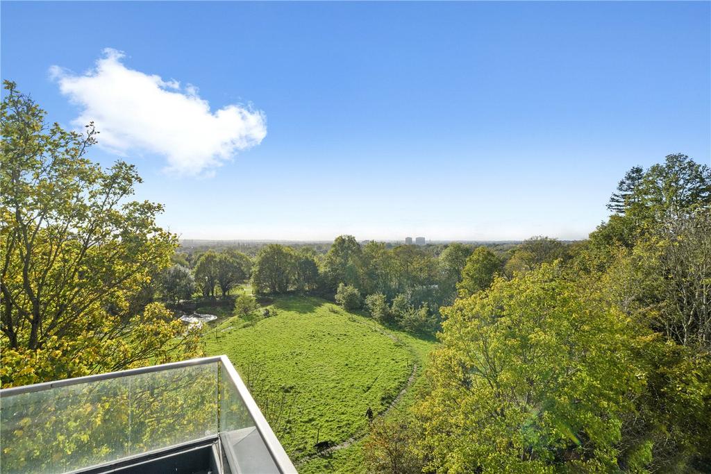 Roof Terrace View