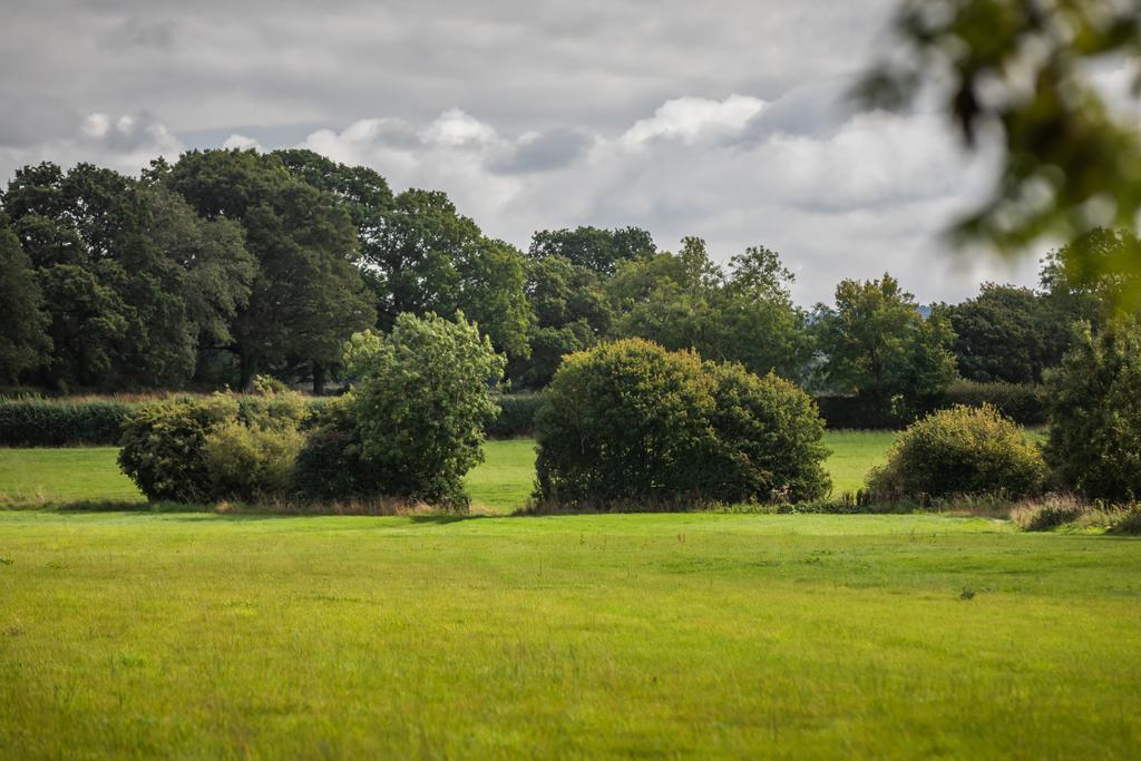 Paddocks
