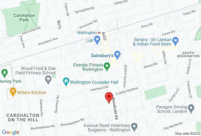 Google Maps Image