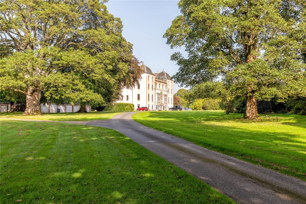 Grounds