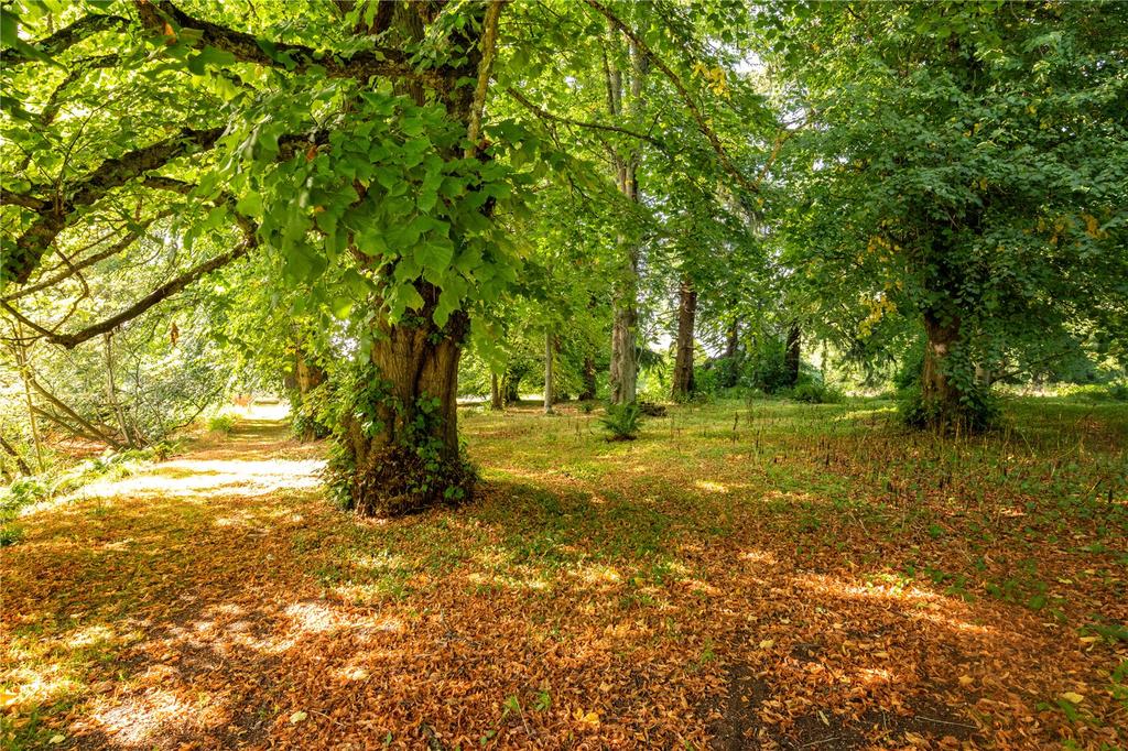 Communal Grounds