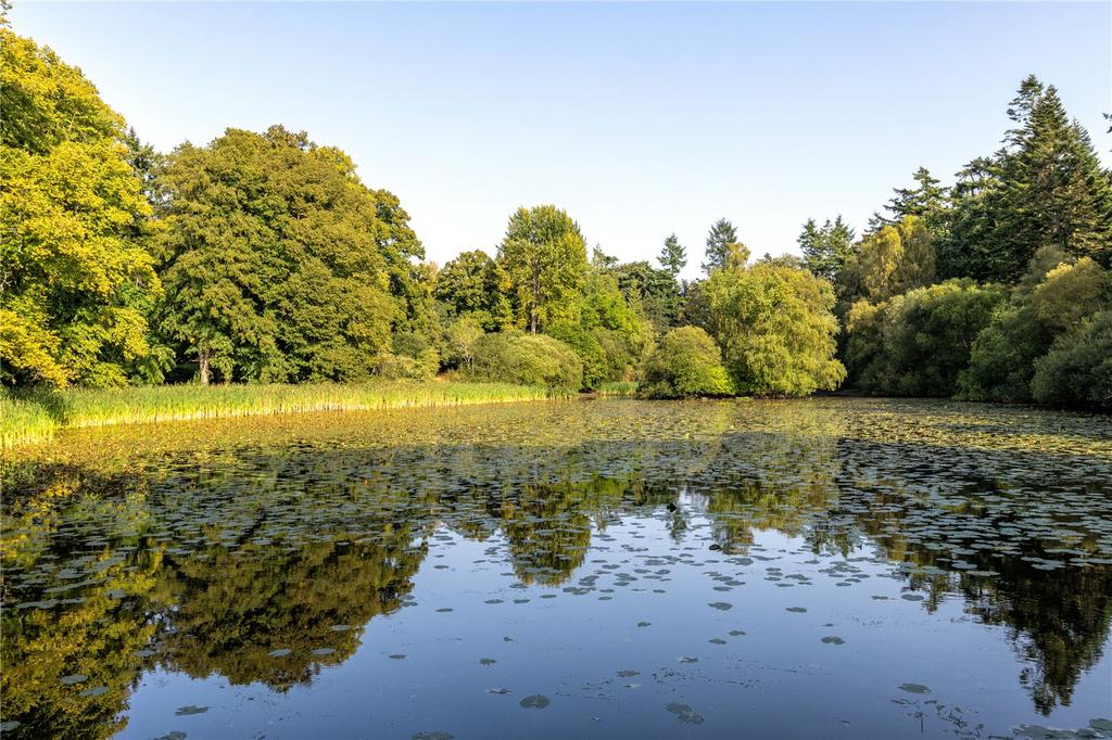 Communal Grounds