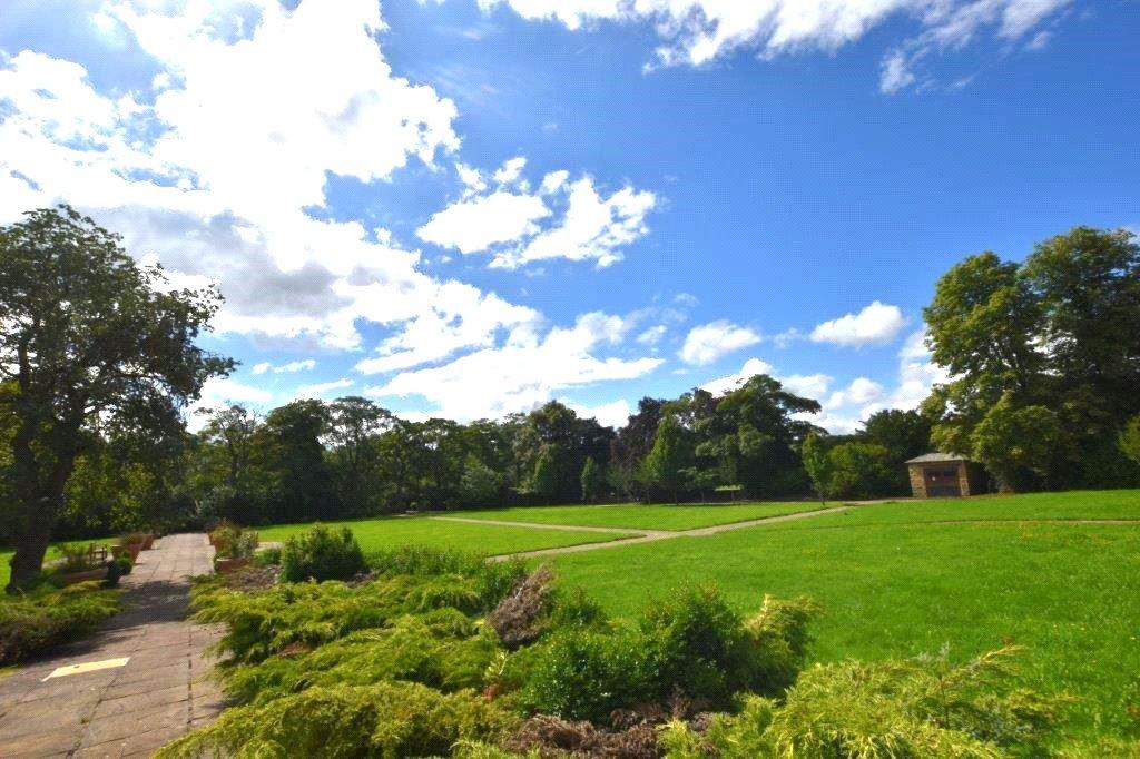 Communal Garden