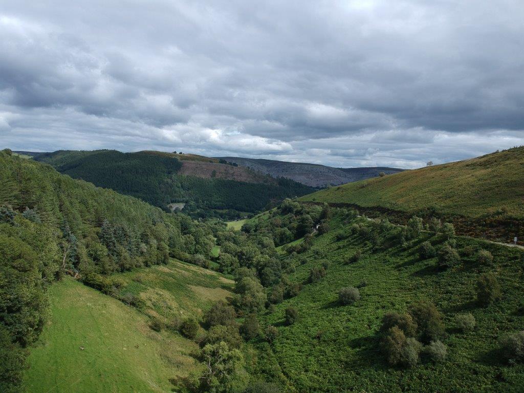 DJI 2505.jpg
