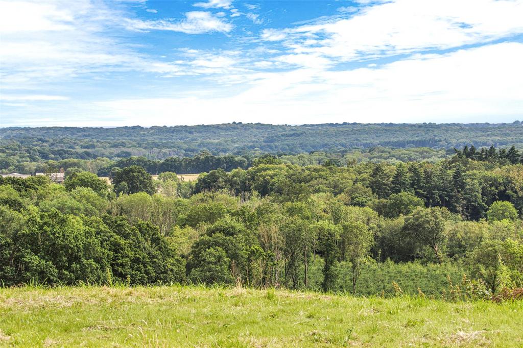 Countryside Views