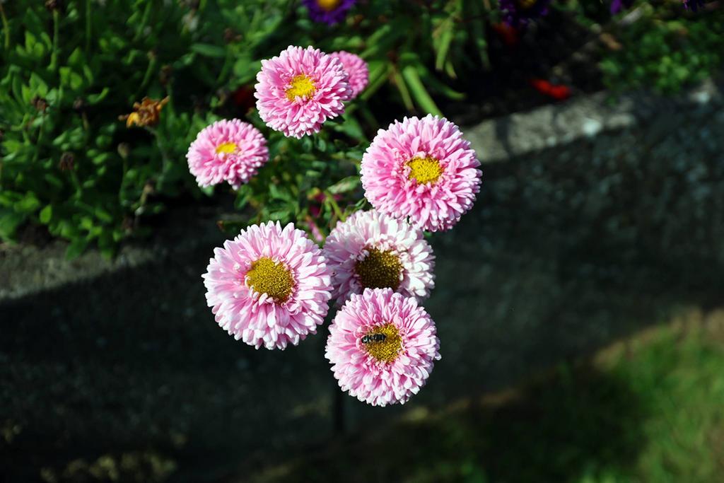 MFL4226159 044.jpg