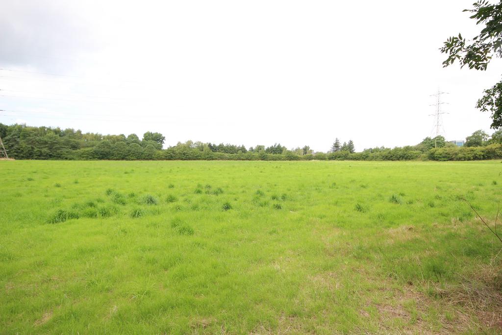 #5 - site d jpg