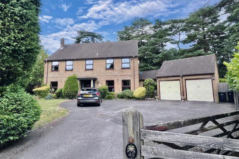 4 bedroom detached house for sale, Davids Lane, Ringwood, BH24 2AW