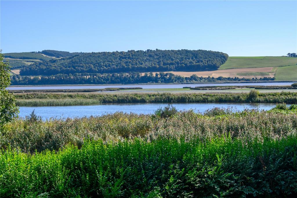 Tay Estuary